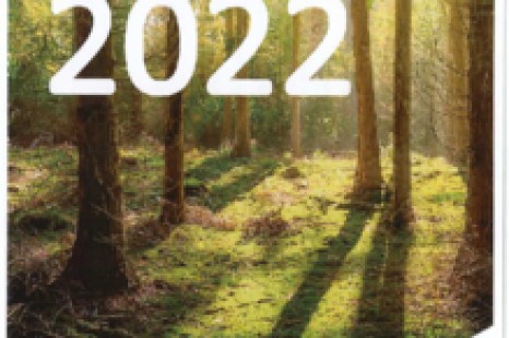 Rapport d'activité 2022 - SITREVA